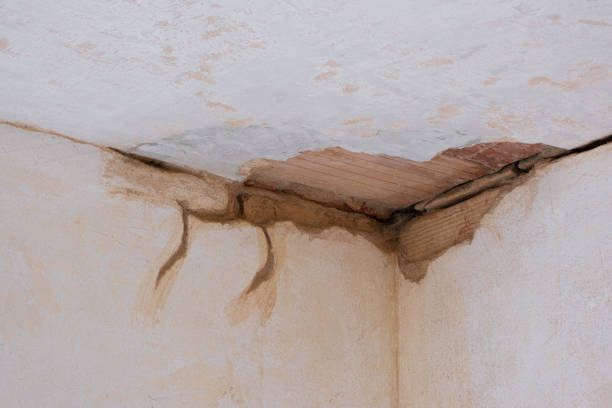 Best Residential water damage restoration  in Sycamore, IL