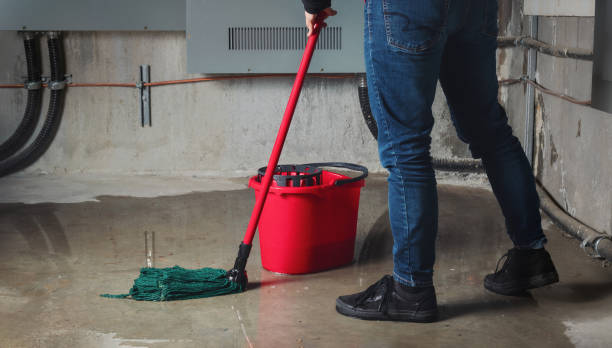 Best Water damage repair service  in Sycamore, IL
