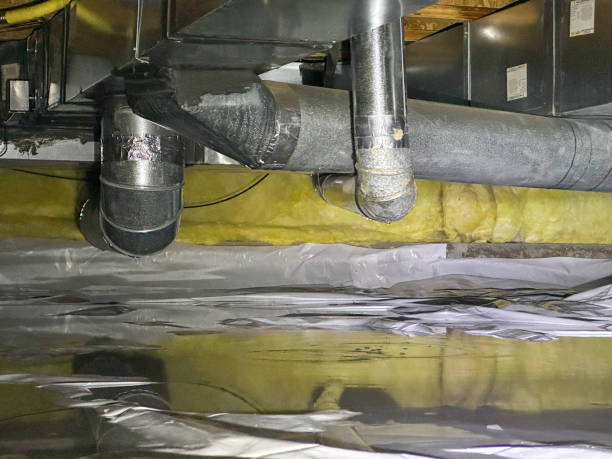 Best Basement water damage restoration  in Sycamore, IL