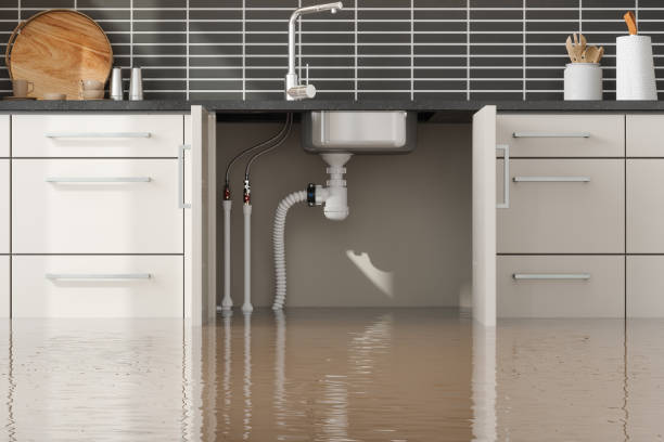 Fire Damage Restoration in Sycamore, IL