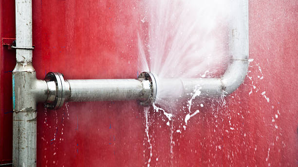 Best Flood damage cleanup  in Sycamore, IL