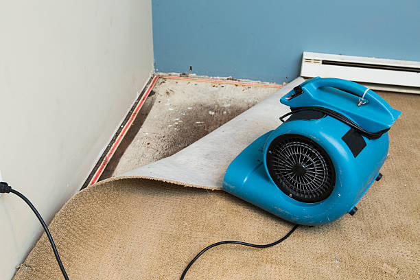 Best Sewage cleanup and water damage restoration  in Sycamore, IL